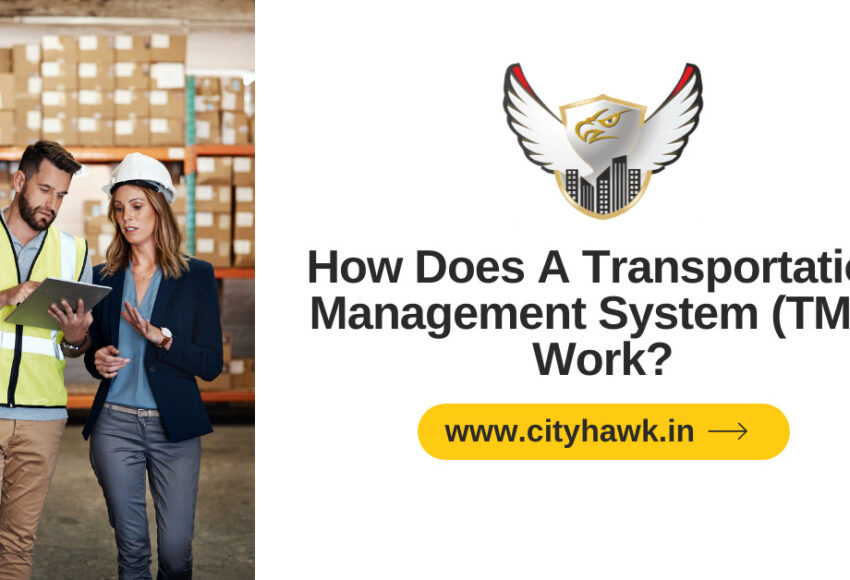 How Does A Transportation Management System (TMS) Work?